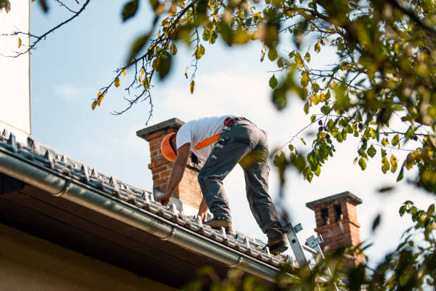 Best Cold Roofs  in Constantine, MI