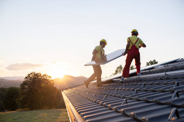 Best Steel Roofing  in Constantine, MI
