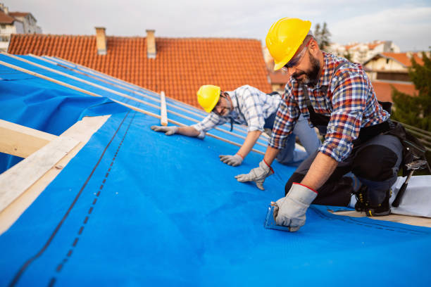Best Roof Leak Repair  in Constantine, MI